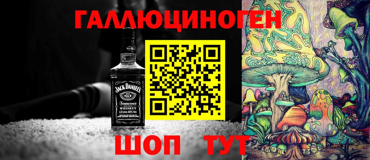 Псилоцибиновые грибы ЛСД  даркнет сайт  Грозный  Галлюциногенные грибы Magic Shrooms  Вход с VPN 