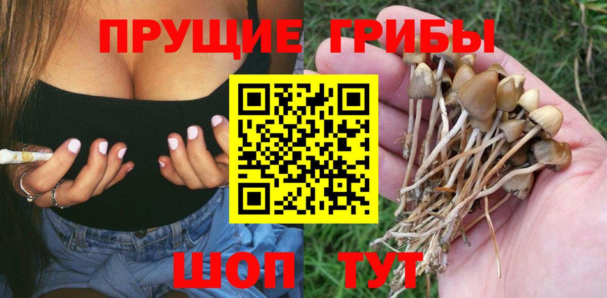 Галлюциногенные грибы Magic Shrooms Грозный